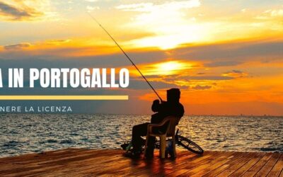 Principal 22 Pesca in Portogallo