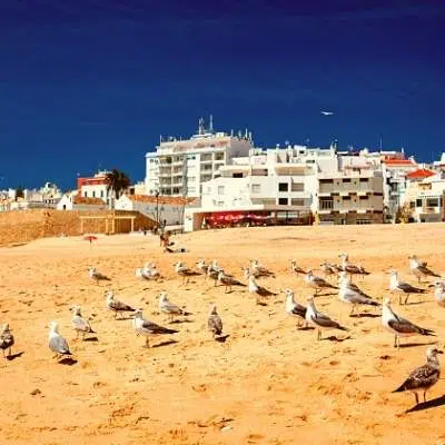Vivere in Algarve 2 Armação de Pêra