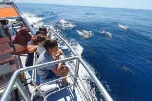 AVVISTAMENTO DELFINI DA LAGOS