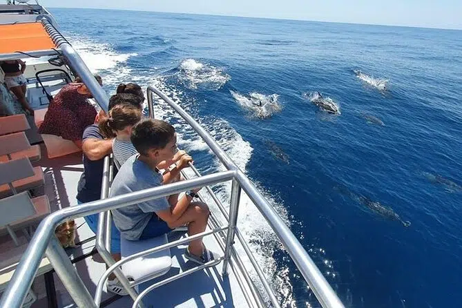 Vivere in Algarve 16 Avvistamento delfini